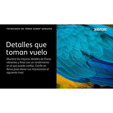 Toner Xerox 006R04626 Schwarz Magenta (1 Stück)