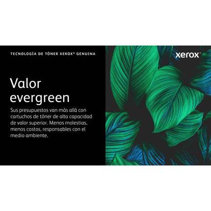 Toner Xerox 006R04626 Schwarz Magenta (1 Stück)