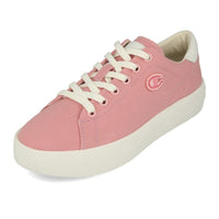 Champion Era Rose