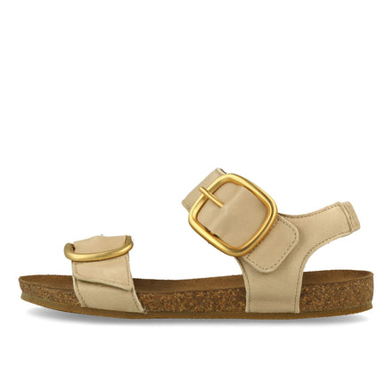 compare product