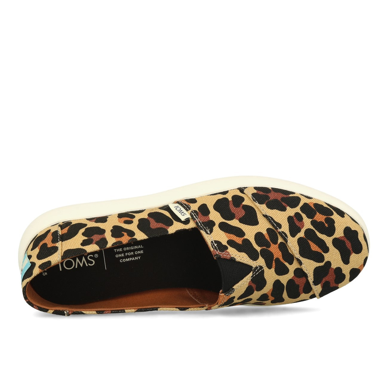 Toms Alpargata Mallow Femme Beige XL Imprimé Léopard Classique