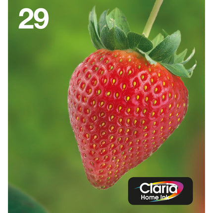 Cartouche d'encre originale Epson Multipack 4 couleurs 29 EasyMail