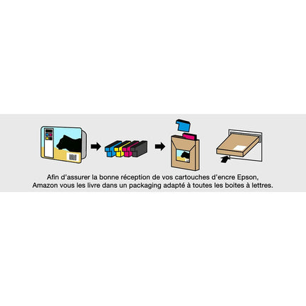 Cartouche d'encre originale Epson Multipack 4 couleurs 29 EasyMail