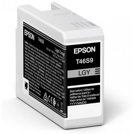 Cartouche d'encre d'origine Epson C13T46S900 Gris
